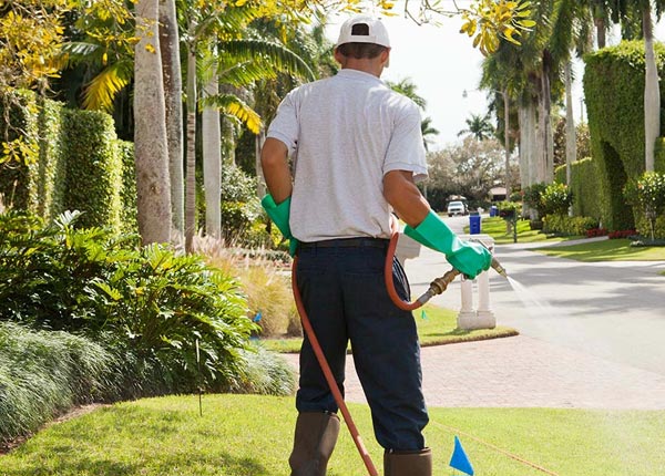 About Greig NY Pest Control